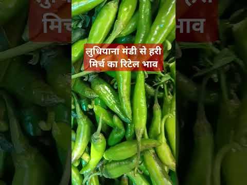 20 मार्च 2025 लुधियाना मंडी# हरी मिर्च कारिटेल भाव#viralvideo