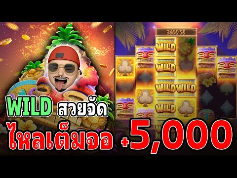 Hawaiian Tiki : สล็อตPG สล็อตฮาวายเอี้ยนทิกิ WILD สวยจัด!!
