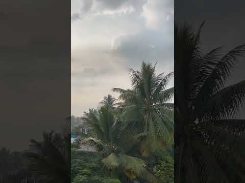 Peace ❤️ #morningviews #peace #positivevibes #naturebeauty #greenary #maharashtra #viral #shorts