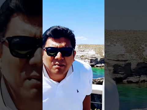 Bangladesh vs Australia..... #rottnestisland #comedy #funny #australia #bangladesh #barristersuman