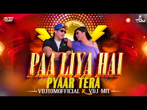 Paa Liya Hai Pyar Tera (Remix) | VDJTOMOFFICIAL X VDJMIT | Govinda, Sushmita