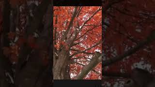 #creationsbybethphotography #creationsbybeth #instaphotographer #instafashion #instapicture