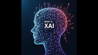 What Is Explainable AI (XAI)?