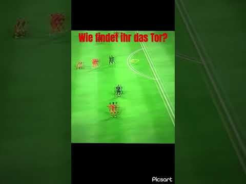 Wie findet ihr das Tor?