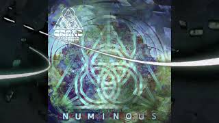 Lucas the Flow 'Source Calling' (PREVIEW) NUMINOUS compilation OUT NOW on Grand Alliance Music