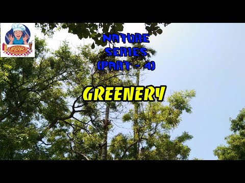 GREENERY | Nature Series (Part   4) | VMG'S  Kitchen & Vlogs