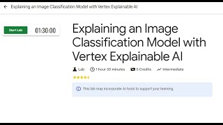 Explaining an Image Classification Model with Vertex Explainable AI
