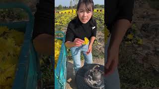 Beautiful Nature - Inspur Fresh Fruit wonderful video of Industry #9244