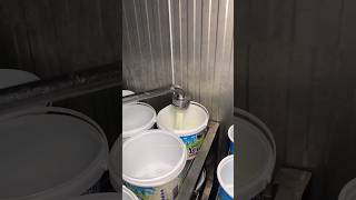 ⚡⚡ Curd Buckets Making Process⚡⚡ #shorts #telugufoodie #esangathulu #streetfood  #foodie #omelette