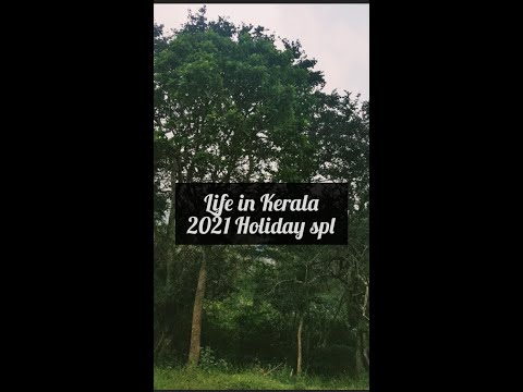 Life in Kerala I 2021 Holiday moments