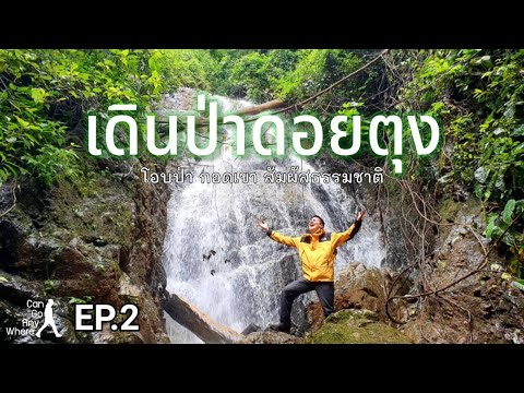 ไปไหนก็ได้ [EP.2] เดินป่าดอยตุง โอบป่า กอดเขา สัมผัสธรรมชาติ