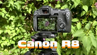 How to Create Bokeh Effect on Canon EOS R8