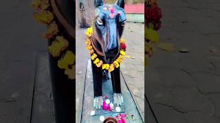 Bhero  #bherujikabhajan #bhaktisong #bherujibhajans #bherujiderubhajan #bherujikarak #bherujibhajan
