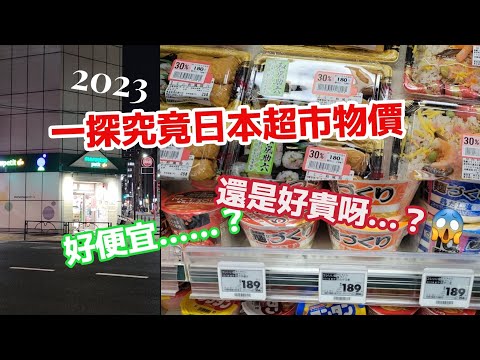 【日本超市Vlog】2023秋 日本超市物價初體驗，到底比台灣便宜還是貴呢？