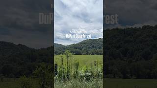 Kid friendly waterfall hikes DuPont State Forest #highfalls #triplefalls #hookerfalls #ncmountains