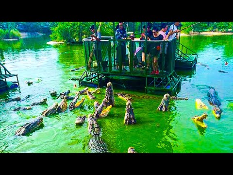 Top 10 MOST Dangerous Tourist Destinations in the US 2023