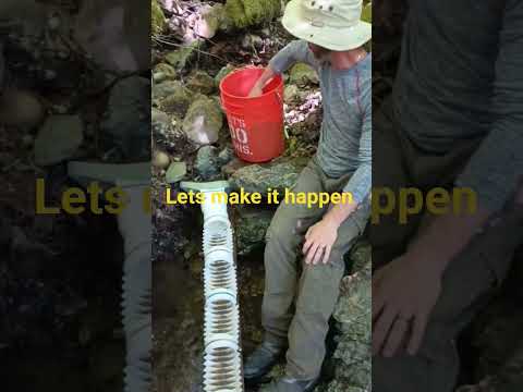 gold prospecting with familyNfriends #gold #goldfever #goldmining #goldminer #asmr #mining #mine #Au