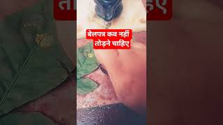 बेलपत्र कव नहीं तोड़ने चाहिए #pradeepmishrajidhankeupay