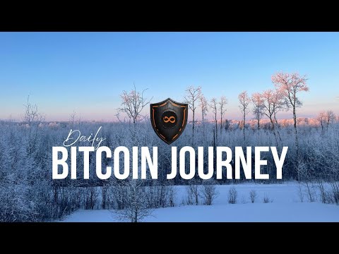 daily bitcoin journey #285 - bitcoin is economic armour