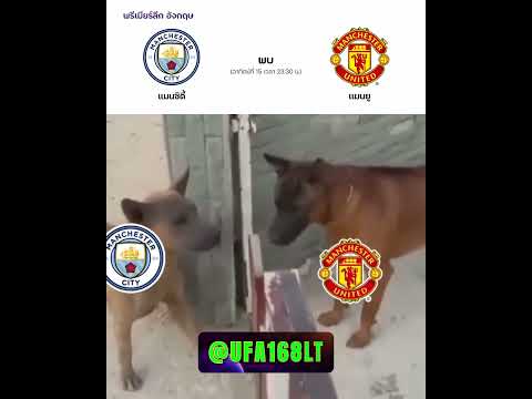 #tiktokบอลนอก #football #manuntd #memes #mane #funny #manutds #fifamobile #soccer #manutdalane