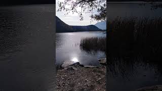 LAGO DI MONTICOLO @cristiancari1989  #appiano #monticolo #natura #lago