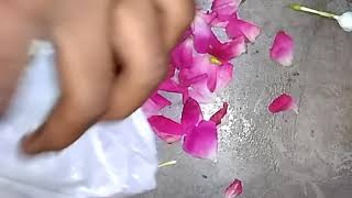 How to do flower shringar & seva of Yugal Jodi . Yugal Jodi seva aur phoolon se shringar