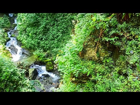Meditation for the soul with beautiful views of nature