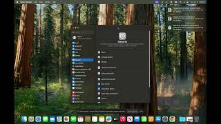 iMac Setup - System Settings & Applications