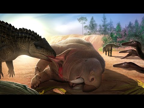What Was Life Like During the Triassic Period?