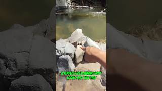 #goldrush 2025 One of my favorite gold prospecting spots#goldpanning #goldmining