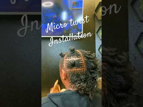 Microlocs started with the two-strand twist method #microlocs #microlocks