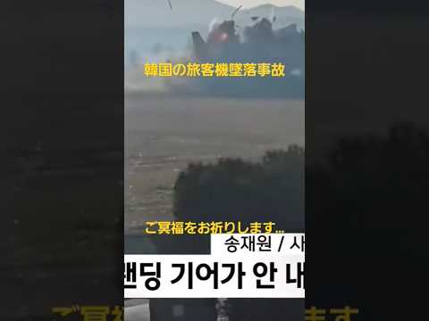 【韓国旅客機墜落事故】年末に起こった悲惨な事故。ご冥福をお祈りします。　　　　　　　　　　　