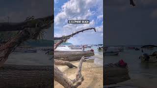 5 Must Visit Places In Andaman