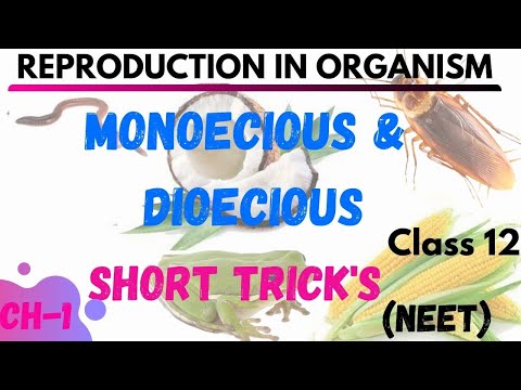 Monoecious & Dioecious | REPRODUCTION IN ORGANISM | NEETTRICK | NEET SHORT TRICK'S |BIOLOGYTRICKNEET
