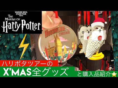 【ハリポタツアー】クリスマスグッズ全部紹介とハロウィン限定スイーツ、購入品紹介も🎃🎄✨