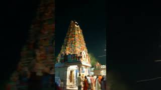 Vadapalani murugar Theru | #short #panguni