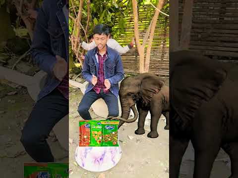🦣Hathi ka kurkure ♥️ churaya chinkua😄 #shorts #viral #trending #youtubeshorts #shortsfeed #ytshorts