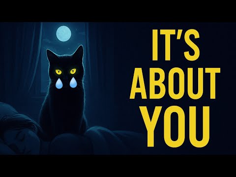 The One Strange Thing Your Cat Does Every Night While You Sleep (And It’s About You)