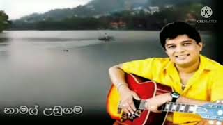 Nuwara Wewata | නුවර වැවට හාදුදිදී | Namal Udugama