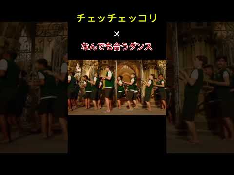 全世界に届いてほしい チェッチェッコリ×なんでも合うダンス#なんでも合うダンス #ショート