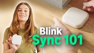 How to Set Up the Blink Sync Module: Complete Installation Guide (2026)