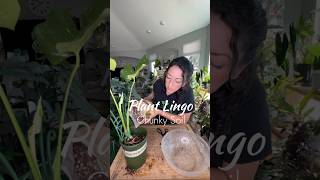 Plant Lingo: Chunky Soil