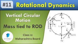 Mass tied to a ROD in Vertical Circular Motion | Rotational Dynamics | Class 12 | Maharashtra Board