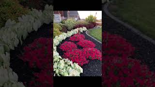 #flowerborderdesign #youtubeshort #design9ideas