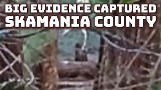 Mt. Adams Bigfoot Exploration New Evidence & Research | Sasquatch Encounters | New Documentary 2025