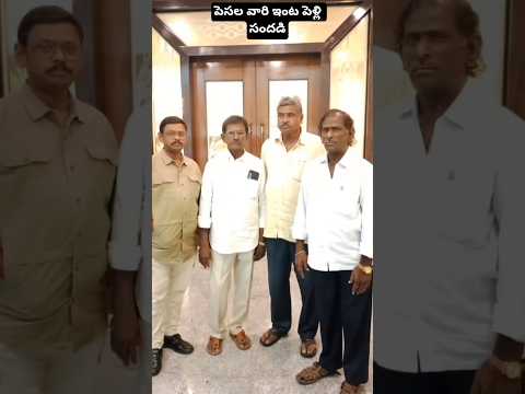 నాయుడుపేట విశేషాలు#comedy #funny #shorts #shortvideo