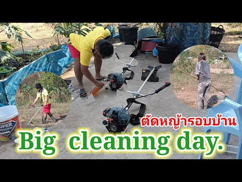 #big cleaning day #ตัดหญ้ารอบบ้าน #ตัดหญ้าทำความสะอาด #ตัดหญ้าหลังบ้าน #เครื่องตัดหญ้าจากจีน #zenix