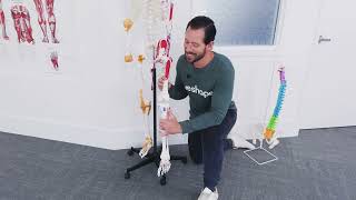 How to Get strong without injuring yourself