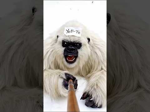 Bigfoot and Yeti l Joke Part 1 🥶 #Shorts #yeti #vlog