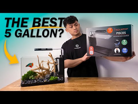 Aquatop Pisces 5 Gallon Unboxing & Setup!